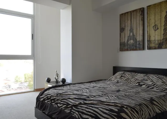 Coyoacan Apartment